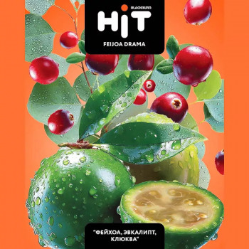 Заказать кальянный табак BlackBurn HIT Feijoa Drama (БлэкБерн Хит Фейхоа Эвкалипт Клюква) 30г онлайн с доставкой всей России